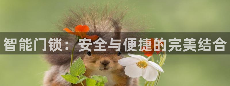 开丰娱乐登录平台：智能门锁：安全与便捷的完美结合