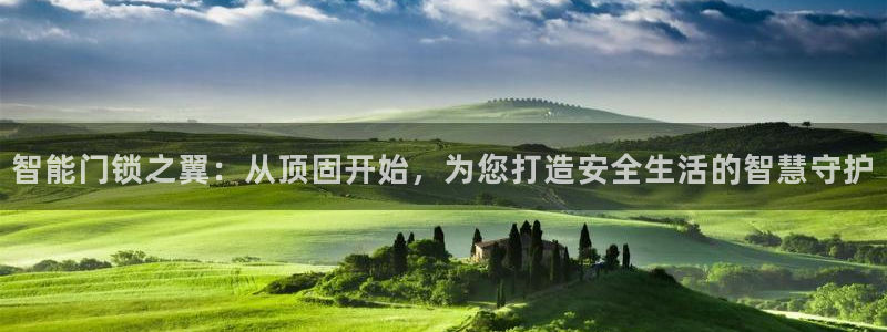 开丰娱乐官网平台登录：智能门锁之翼：从顶固开始，为您打造安全