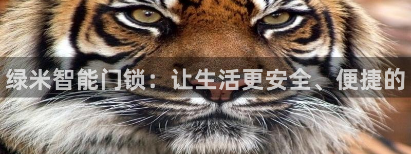 开丰娱乐网站官网：绿米智能门锁：让生活更安全、便捷的