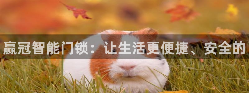 开丰娱乐平台注册地址：赢冠智能门锁：让生活更便捷、安全的