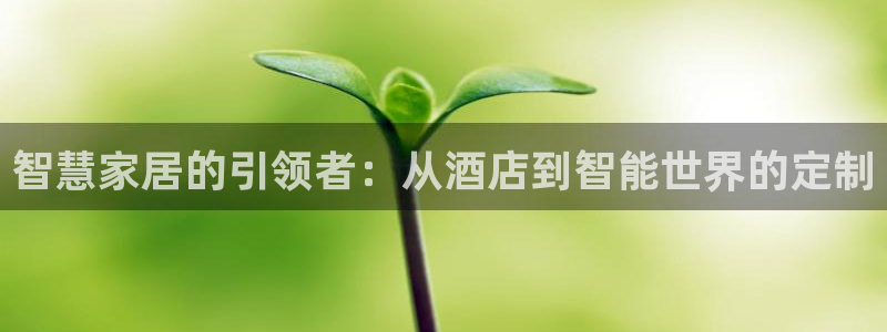 开丰娱乐网站官网下载：智慧家居的引领者：从酒店到智能世界的定