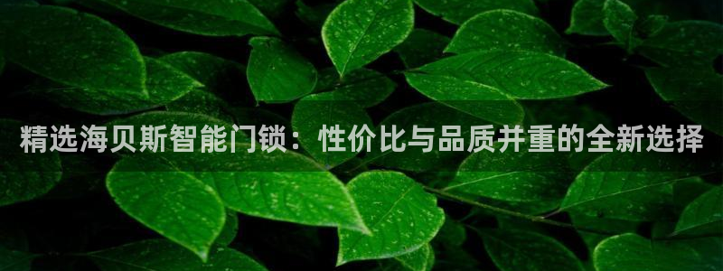 开丰娱乐违法吗：精选海贝斯智能门锁：性价比与品质并重的全新选
