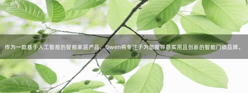 开丰娱乐注册：作为一款基于人工智能的智能家居产品，Qwen将