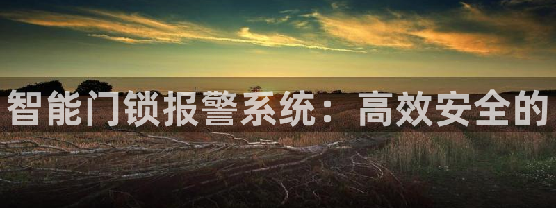 开丰娱乐开户：智能门锁报警系统：高效安全的