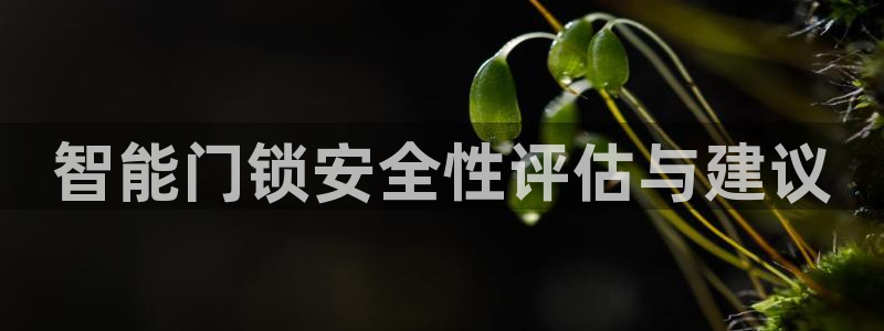 开丰娱乐最新活动：智能门锁安全性评估与建议