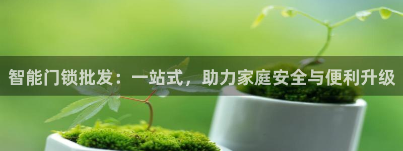 开丰娱乐官网：智能门锁批发：一站式，助力家庭安全与便利升级