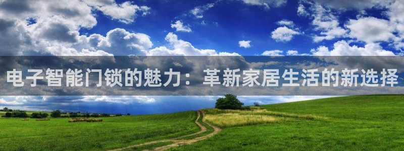 开丰娱乐予 7O935：电子智能门锁的魅力：革新家居生活的新