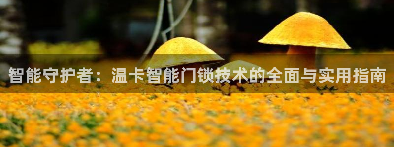 开丰娱乐网站官网入口：智能守护者：温卡智能门锁技术的全面与实
