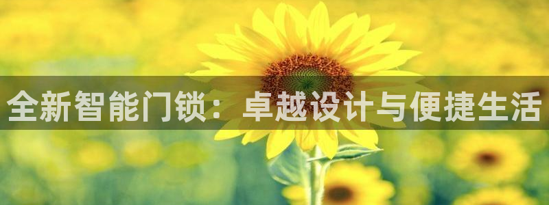 开丰娱乐开户：全新智能门锁：卓越设计与便捷生活