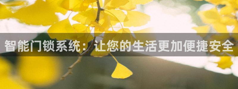 开丰娱乐前：智能门锁系统：让您的生活更加便捷安全