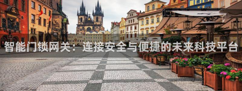 开丰娱乐平台官网登录：智能门锁网关：连接安全与便捷的未来科技