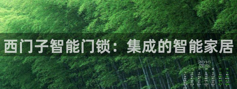开丰娱乐：西门子智能门锁：集成的智能家居