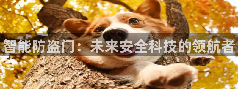 开丰娱乐注册登录：智能防盗门：未来安全科技的领航者