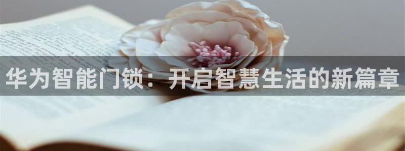 开丰娱乐姜333OO：华为智能门锁：开启智慧生活的新篇章