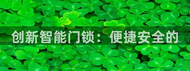 开丰娱乐网站官网入口：创新智能门锁：便捷安全的