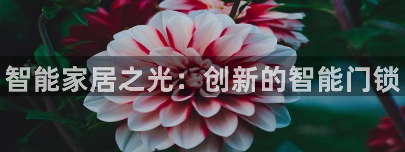 开丰娱乐官网首页：智能家居之光：创新的智能门锁
