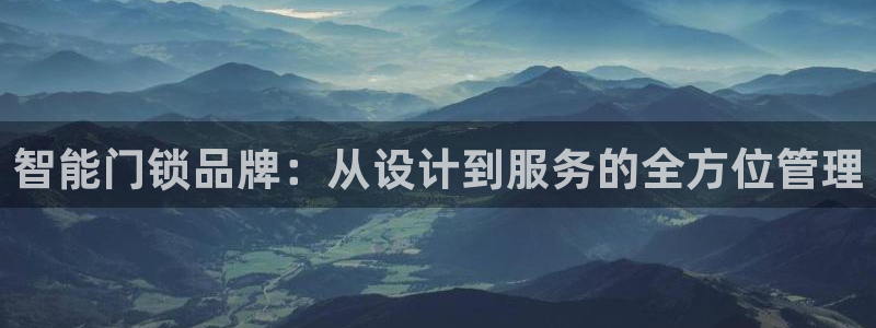 圩丰刚开的娱乐场所：智能门锁品牌：从设计到服务的全方位管理