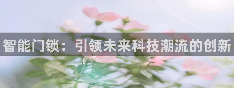 开丰娱乐平台地址查询：智能门锁：引领未来科技潮流的创新