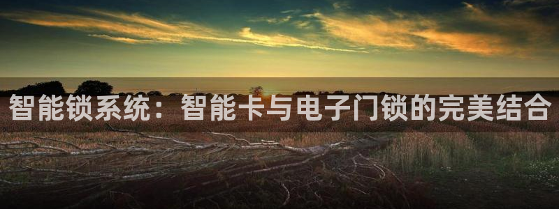 开丰娱乐更多平台：智能锁系统：智能卡与电子门锁的完美结合