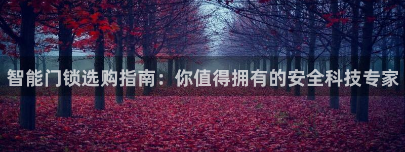 开丰娱乐乙833_43：智能门锁选购指南：你值得拥有的安全科