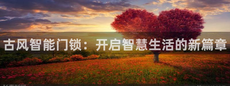 开丰娱乐网站官网首页：古风智能门锁：开启智慧生活的新篇章