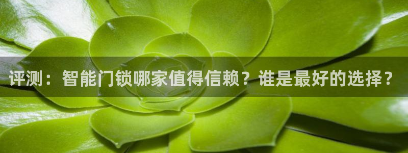 开丰娱乐登入地址在哪儿：评测：智能门锁哪家值得信赖？谁是最好