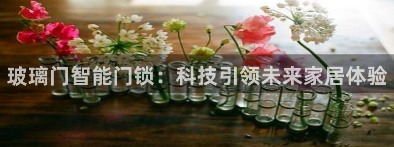 开丰娱乐官网平台登录：玻璃门智能门锁：科技引领未来家居体验