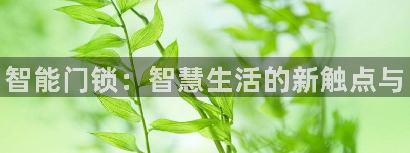 开丰娱乐科技：智能门锁：智慧生活的新触点与