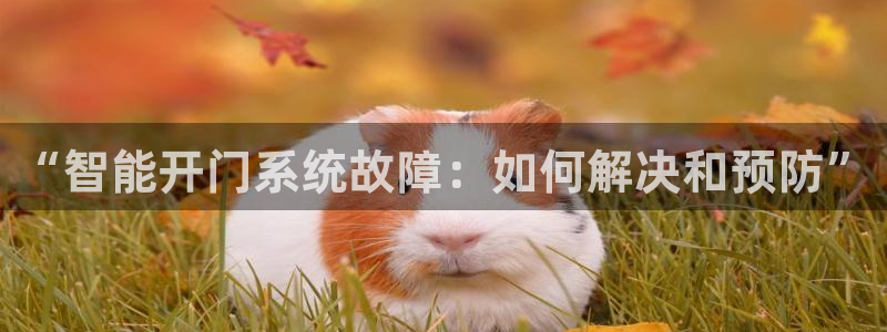 开丰娱乐登陆地址：“智能开门系统故障：如何解决和预防”