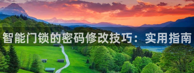 开丰娱乐官网平台电话：智能门锁的密码修改技巧：实用指南