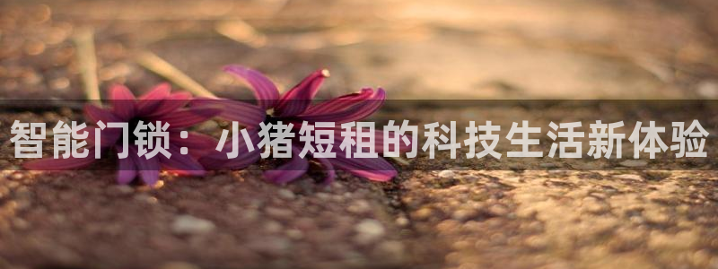 开丰娱乐左7O667：智能门锁：小猪短租的科技生活新体验
