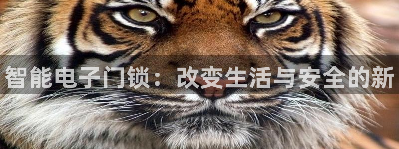 开丰娱乐官网电话：智能电子门锁：改变生活与安全的新