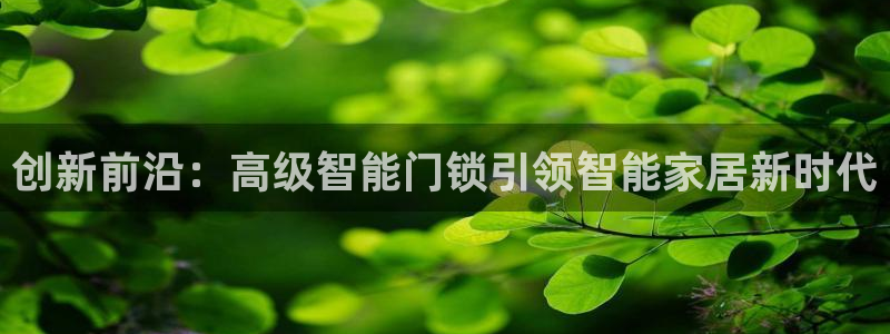 开丰娱乐月：创新前沿：高级智能门锁引领智能家居新时代