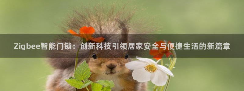 开丰娱乐地址查询：Zigbee智能门锁：创新科技引领居家安全