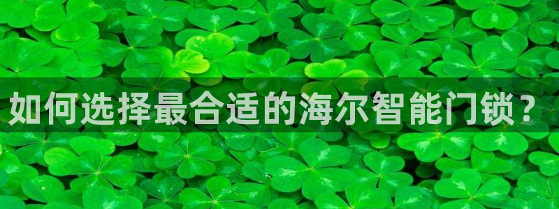 开丰娱乐除7O777：如何选择最合适的海尔智能门锁？