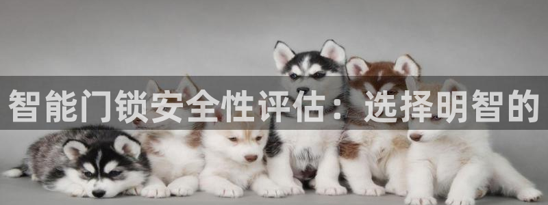 开丰娱乐天7O667：智能门锁安全性评估：选择明智的