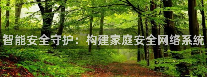 开丰娱乐登录官方网站：智能安全守护：构建家庭安全网络系统