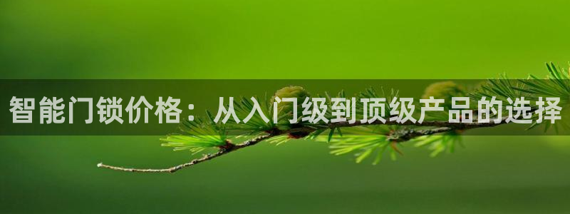开丰娱乐平台注册时间：智能门锁价格：从入门级到顶级产品的选择
