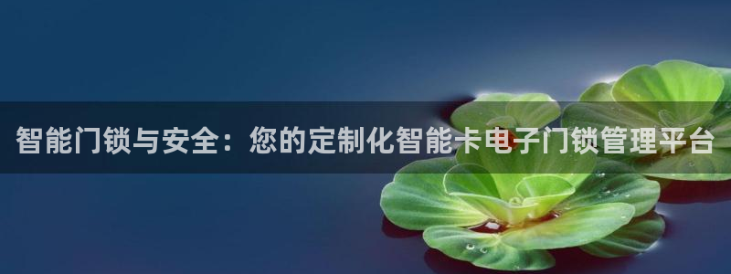 开丰娱乐官网电话：智能门锁与安全：您的定制化智能卡电子门锁管