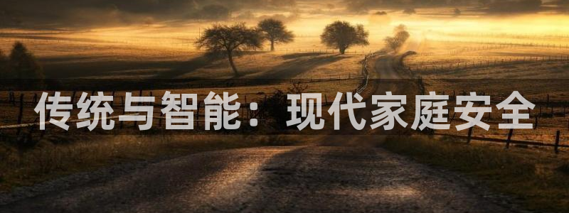 开丰娱乐2登录：传统与智能：现代家庭安全