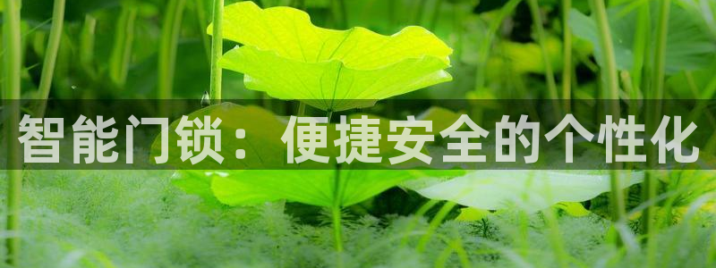 如何注册开丰娱乐账号：智能门锁：便捷安全的个性化