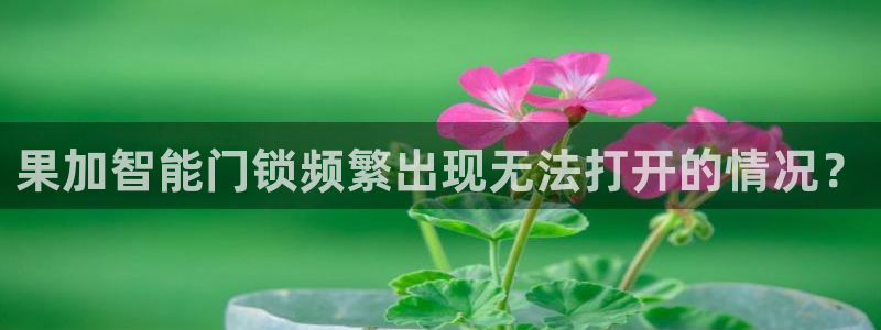 开丰娱乐于六七五一38：果加智能门锁频繁出现无法打开的情况？