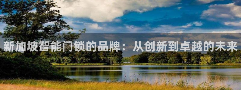 开丰娱乐网官网注册入口：新加坡智能门锁的品牌：从创新到卓越的
