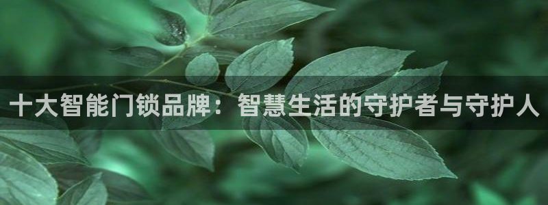 开丰娱乐平台官网登录：十大智能门锁品牌：智慧生活的守护者与守