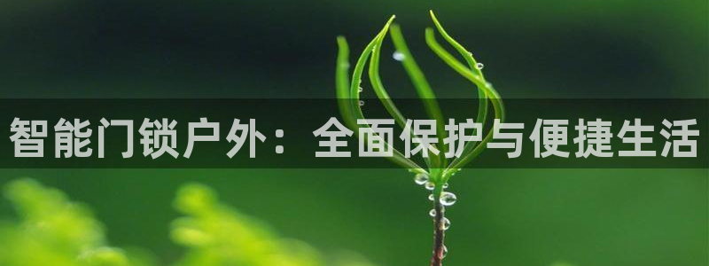 开丰娱乐手机app：智能门锁户外：全面保护与便捷生活