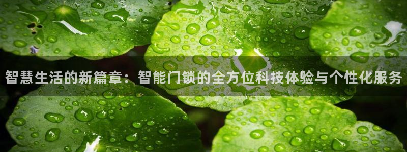 开丰娱乐官网电话：智慧生活的新篇章：智能门锁的全方位科技体验