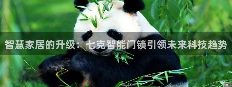 开丰娱乐平台注册时间：智慧家居的升级：七克智能门锁引领未来科