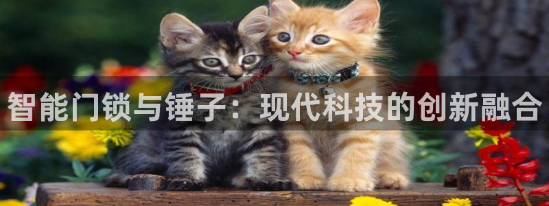 开丰娱乐若七九九：智能门锁与锤子：现代科技的创新融合