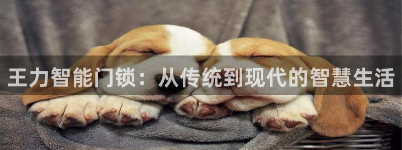 开丰娱乐寸六七五一38：王力智能门锁：从传统到现代的智慧生活