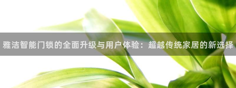 开丰娱乐平台登录网址：雅洁智能门锁的全面升级与用户体验：超越